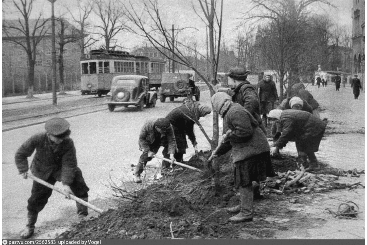 Сталинградский проспект, воскресник по благоустройству 1950 год.