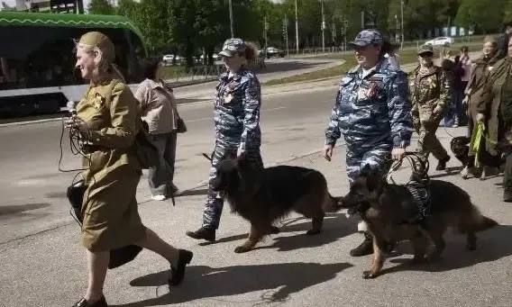 «Лохматый полк» в Гурьевске стал одной из самых тёплых акций Дня Победы