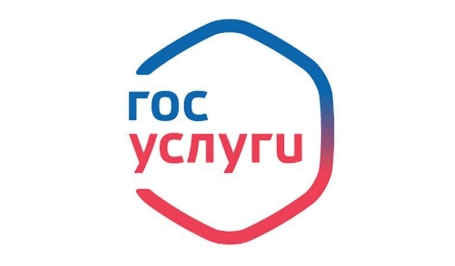 «Госуслуги» хотят превратить в соцсеть: россиянам обещают чаты, новости и сообщества к 2035 году