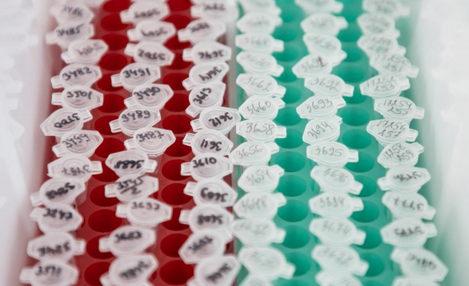 Финалиста калининградского «Кубка Балтики» отстранили от тенниса на три года