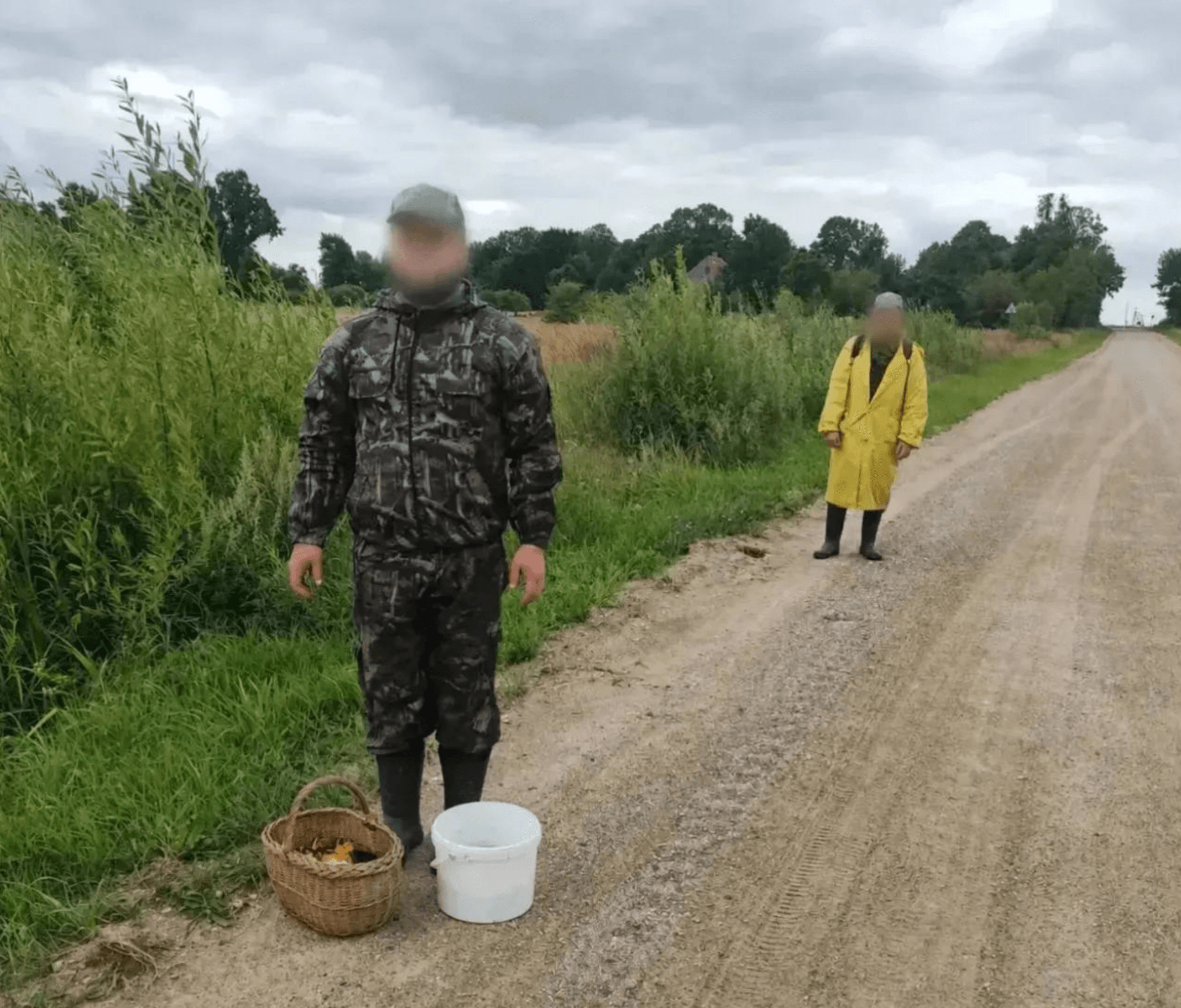 Хотели выйти из леса — попали в болото: под Правдинском спасли двух заблудившихся мужчин