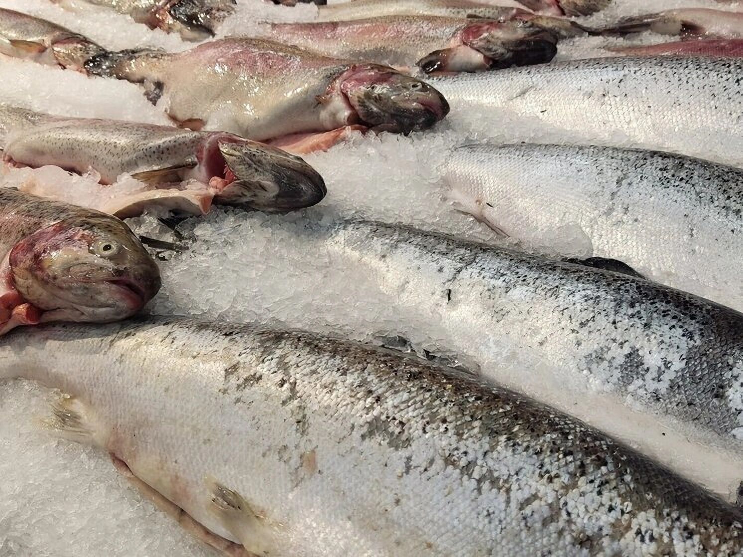 А рыбка-то золотая: морепродукты в области за год подорожали почти на треть